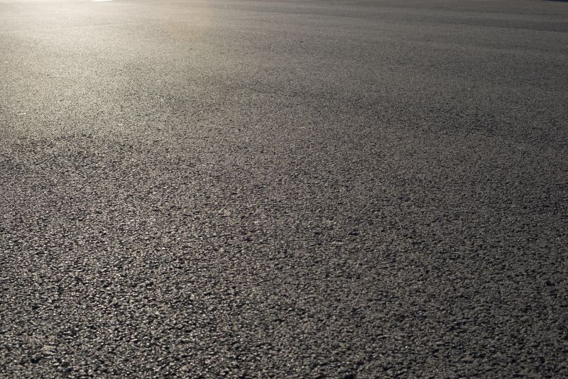 Resilient Asphalt Surface