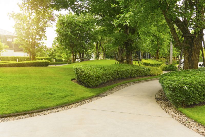 Residential Pavement Service